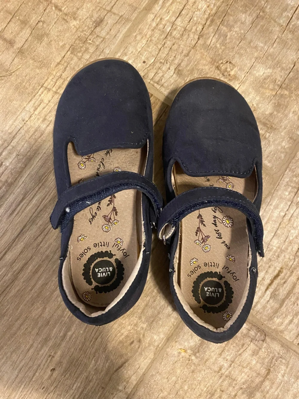 Livie & Luca Navy Suede Mary Jane Shoes for Kids